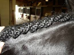 Once dry, the horsehair pulls are made. Pin By Anne Landers On Beautiful Braids Horse Mane Horse Grooming Horse Mane Braids