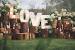 Cheap Outdoor Wedding Decorations
