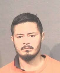 Gallery: HPD arrests for felony DWI in October