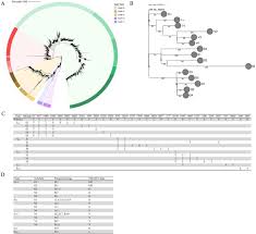 Virologe drosten sieht vorerst keinen grund zur angst, ist aber. A Genetic Barcode Of Sars Cov 2 For Monitoring Global Distribution Of Different Clades During The Covid 19 Pandemic Sciencedirect