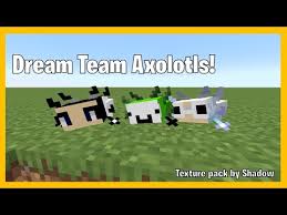 Technoblade axolotl and title screen! Dream Team Axolotl Texture Pack 1 17 Youtube