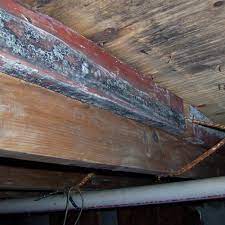 Part 2 how to repair hardwood with water damage. Water Damaged Wood Repair In Il Ia Mo
