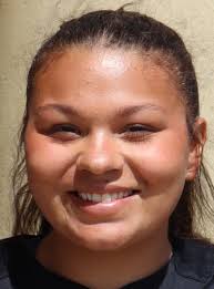 Local Sports: Dundee baseball tops Whiteford; Milan softball clinches