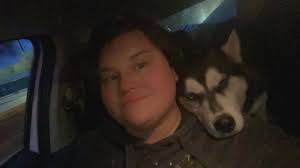 Sharing... Stolen husky from car in Denver...please BOLO...