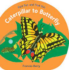 A butterfly can fly * a butterfly does not make a sound. Caterpillar To Butterfly Fold Out And Find Out Barry Frances Barry Frances 9780763642617 Amazon Com Books