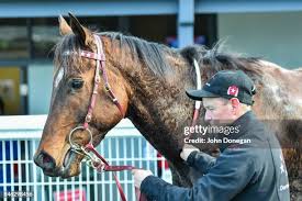 200 Edgell Stock Photos, High-Res Pictures, and Images