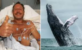 L'incredibile storia avvenuta negli scorsi giorni negli usa. 67acrfjzmxor1m