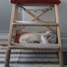 So, there you have it! 100 Cheap Easy Diy Pet Ideas Diy Opic 2021