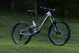 Image result for Orbea longidens