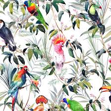 Fresco Amazon Tropical Wallpaper Tropical Wallpaper Floral Wallpaper Bird Wallpaper