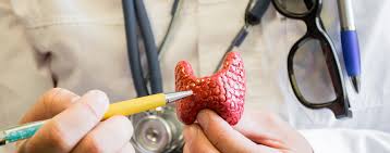 Die regelmäßige einnahme von hormonpräparaten kann einer gewichtszunahme bei schilddrüsenunterfunktion entgegenwirken. Schilddrusenerkrankungen Bei Diabetikern Focus Arztsuche
