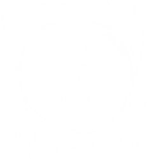 They add color, texture, height and symmetry. Puffenkinty Puffenkinty Profile Pinterest