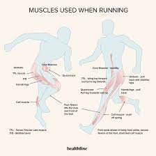 Model leg workouts tone your. What Muscles Does Running Work