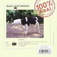 Biarritz douze familles victimes dune arnaque à la. Amazon Com Les Pepites Du Site Leboncoin Fr French Edition 9782810415366 Collectif Books
