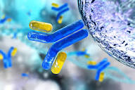 癌症治疗的魔法子弹——ADC从概念到临床的发展旅程