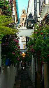 Rincones De Sevilla Sevilla Andalucia Espana Andalucia