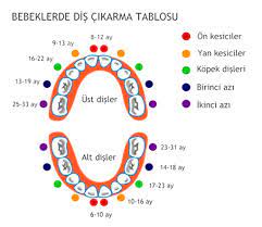bebeklerde dis cikarma cocuklu dunya