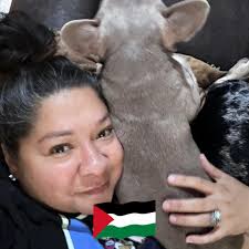 Fruit Trees for Sale at HEB in Houston