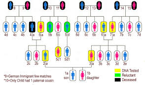 How To Narrow Down The Best Dna Donors In A Large Family