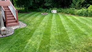 FIELDER'S CHOICE™ Elite Perennial Ryegrass Blend - Twin City Seed Company