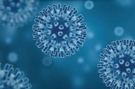 Get the latest novavax stock price and detailed information including nvax news, historical charts and realtime prices. Novavax Nvax Stock Jumped 6 On 4m Funding For Coronavirus Vaccine Trial