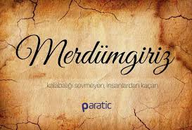 Merdumgiriz Pozitif Alintilar Bilgelik Alintilari Bilgelik