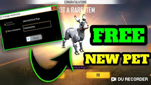 In this post i shared free fire pro name with you guys. New Pet Free Name Change In Free Fire Free Diamond Trick Youtube