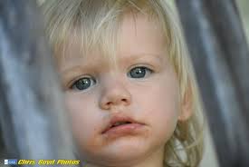 Chris Boyd Photography, 31 Irene Way, Kingston, GA 30145, US