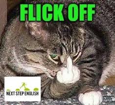 This page is about the slang term flick. Pin On Next Step English On Twitter