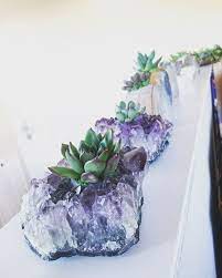 Go Beyond The Ordinary Flowerpot And Use Crystals To House Your Favorite Plants Plants And Crystals Crystal Garden Crystals