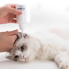 33ml Pet Kulak Damla Kopek Kulak Kanal Temizleyici Kedi Kulak Kanal Inflamasyon Kulakliklar Pet Kulaklar Oldurmek Bakteri Rahatlatmak Kasinti Kedi Bakim Aliexpress