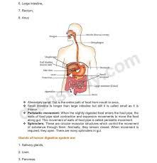 A detailed explanation for the labelling check class 10 important biology diagrams you must practice for the cbse board exam 2020. Chapter Notes Life Processes Class 10 Biology Notes Dronstudy Com Biology Notes Science Notes Biology