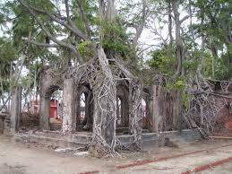 20 Amazing facts about Andaman ...