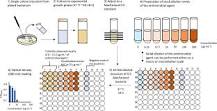 Image result