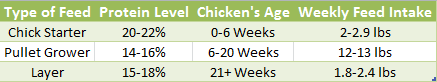 why youre feeding your chickens to death and how to stop it