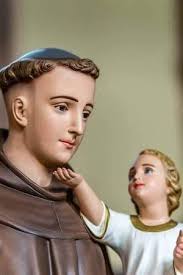 Keep us safe and sound under your protection, O Glorious Saint Anthony Of  Padua. Amen.