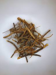 Image result for Cryptolepis