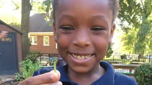 School gardens grow thanks to SUGA