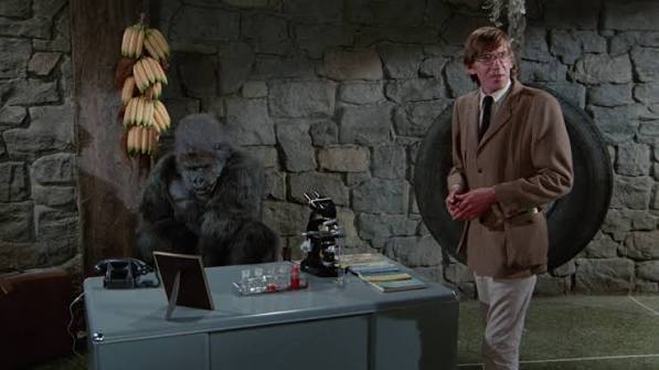 DVD Exotica: Remembering The Man With Two Brains
