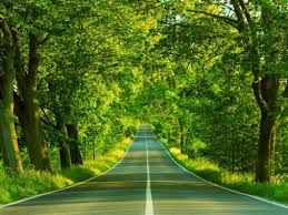 Check spelling or type a new query. Home Screen Wallpapers High Quality Resolution Backgrounds Nature 1024x768 Download Hd Wallpaper Wallpapertip