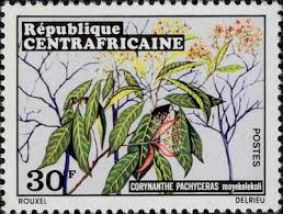 Image result for Corynanthe