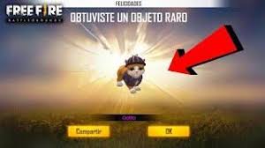 There are 10 pets added to garena free fire including the falco is the newest addition to the gallery of pets and is a falcon. Consegui La Nueva Mascota Truco En Free Fire Nueva Actualizacion Gato En Free Fire Pet Hacks Free Avatars Diamond Free