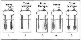 Suatu larutan jika diuji dengan alat penguji elektrolit menunjukan adanta nyala lampu yang terang dan timbulnya gelembung gas. Larutan Elektrolit Dan Non Elektrolit Quiz Quizizz