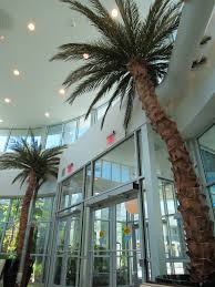 Preserved Palm Trees Greet Your Convention Attendees Setting The Tone For A Unique Experience Different Than The T Oasis Hotels Hotel Collection Outdoor Pool