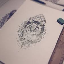 Jaden Stallman (shadenstallman)