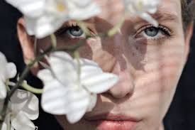 The harmony & elegance of Avon Haiku