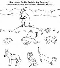 We have collected 100 coloring pages with dogs. Prairy Dog Coloring Page Animals Town Animals Color Sheet Prairy Dog Printable Coloring