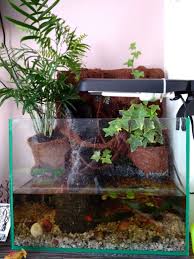 Paludarium Na Szybko Zbiornik 40 Litrow Wodospad Mgla Aquarium