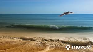 Faixas de música relaxante estão agora na seção de bônus videoclipe hd havaí praias 1 + hd flórida praias 2. Musica Relaxante Youtube