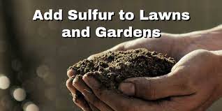 Calculate and apply the necessary amendment, either by weight (in pounds) or by volume (in yards or cubic feet). Gardenrx Adding Sulfur To Your Soil Cuprockdiy